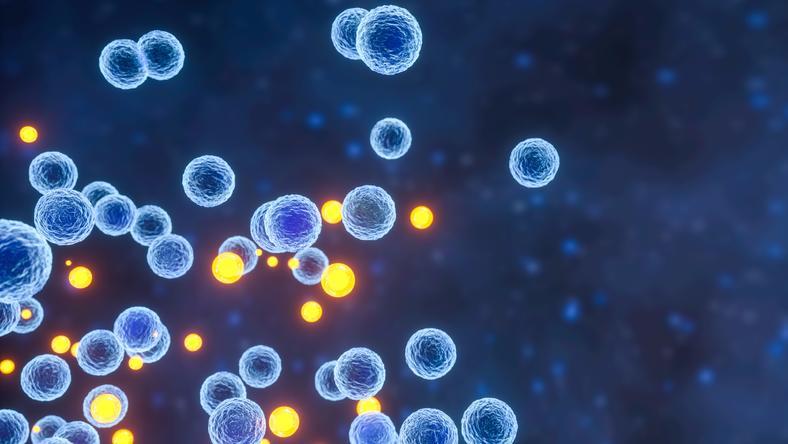 为何当整体环境恶化时,一些规模小的物种反而能逆袭?